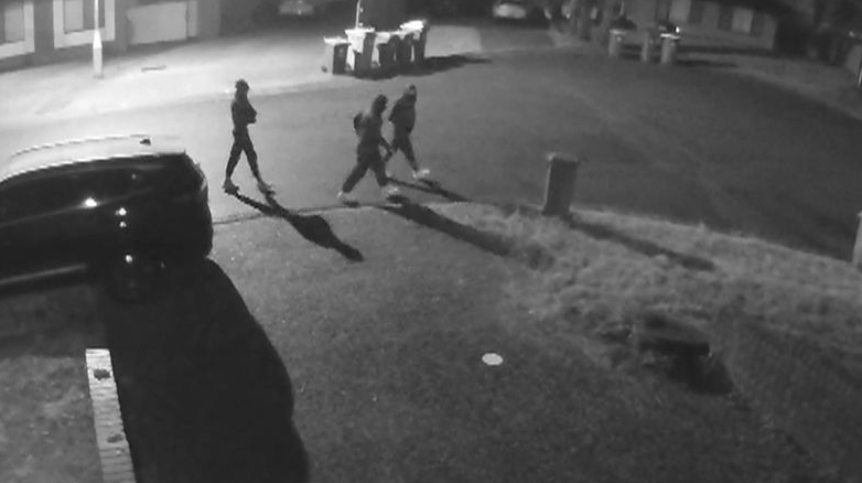 Innocent family believed not to be intended targets in south-west Sydney shooting and firebombing