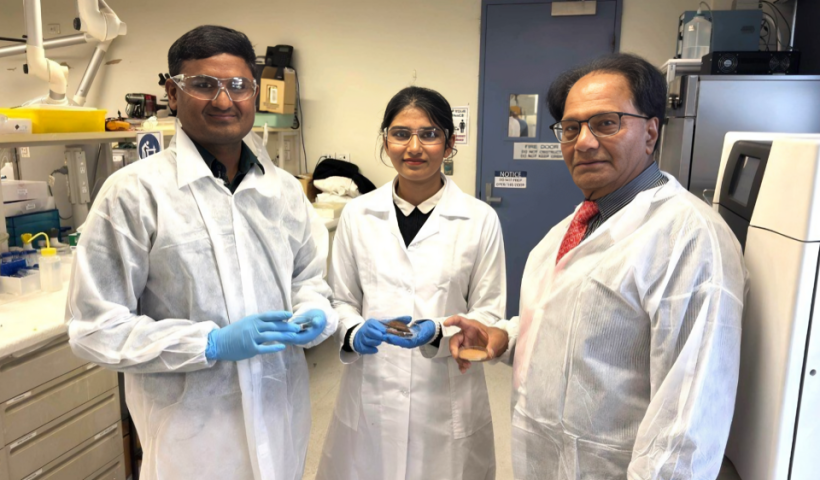 Indian-Origin Researchers in Australia transform eucalyptus bark waste into pollution-capturing carbon