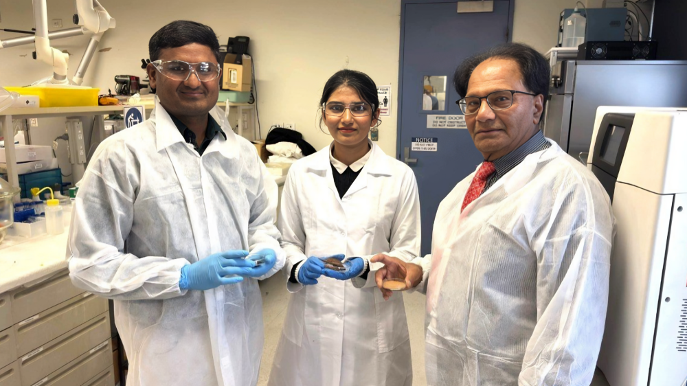 Indian-Origin Researchers in Australia transform eucalyptus bark waste into pollution-capturing carbon