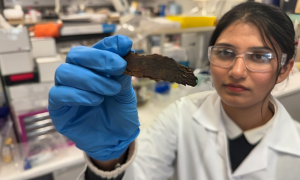 PhD researcher Pallavi Saini holds a sample of eucalyptus bark during laboratory analysis at RMIT University