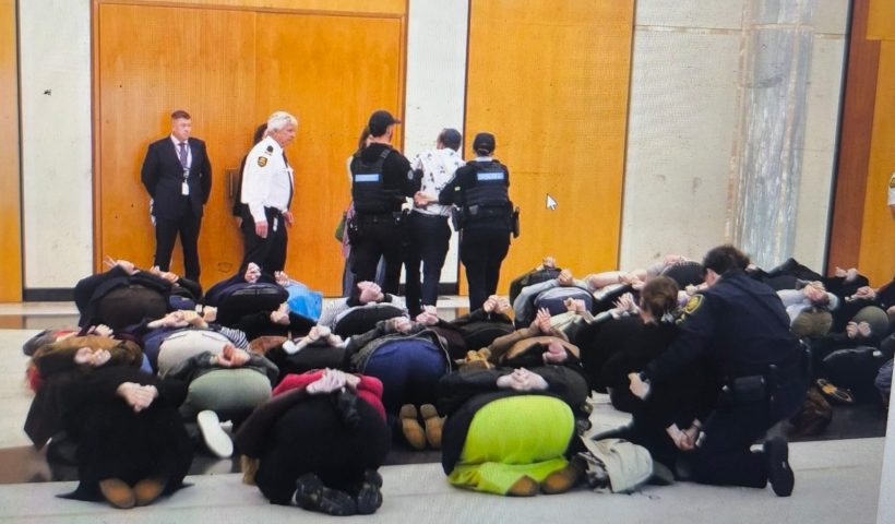 Australians detained by Israel join dozens of protesters at parliament house
