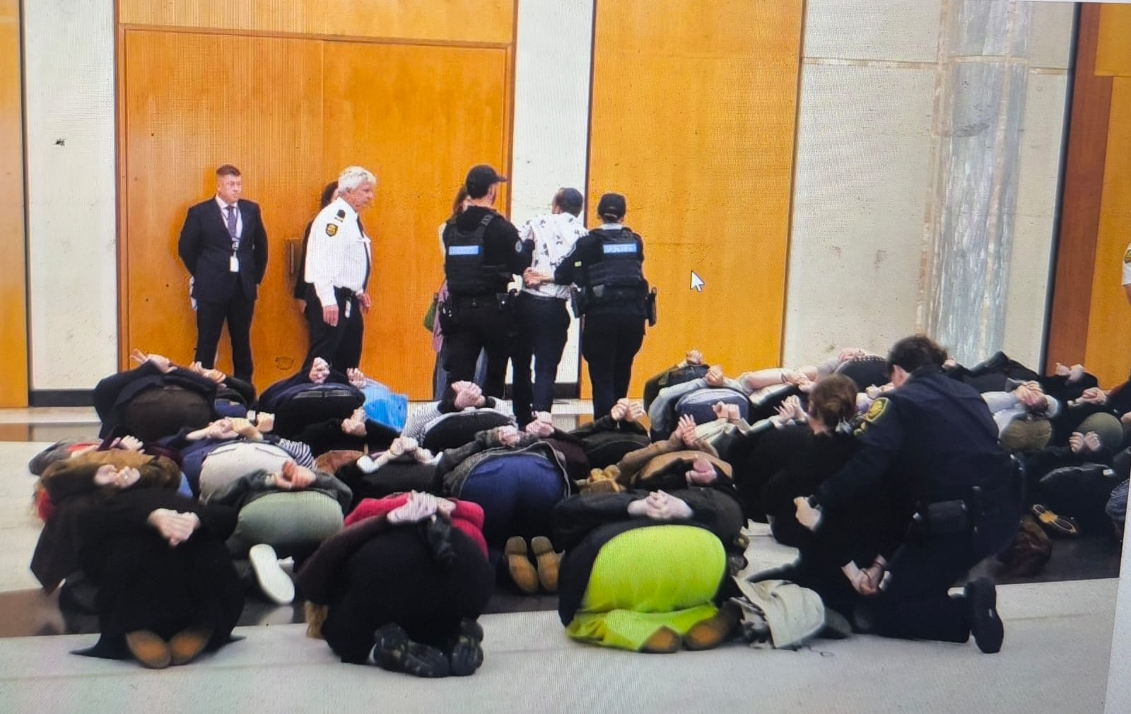 Australians detained by Israel join dozens of protesters at parliament house