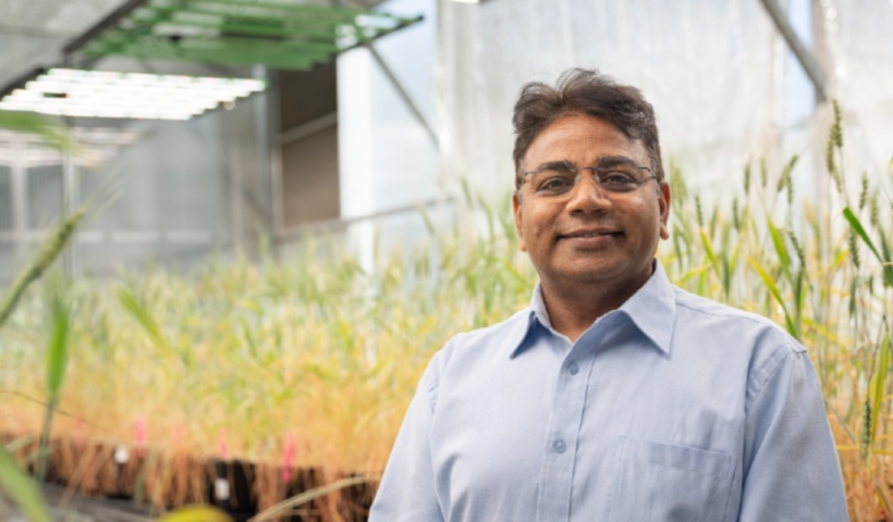 Indian-Australian scientist Prof. Rajeev Varshney named among world’s leading agri-food innovators