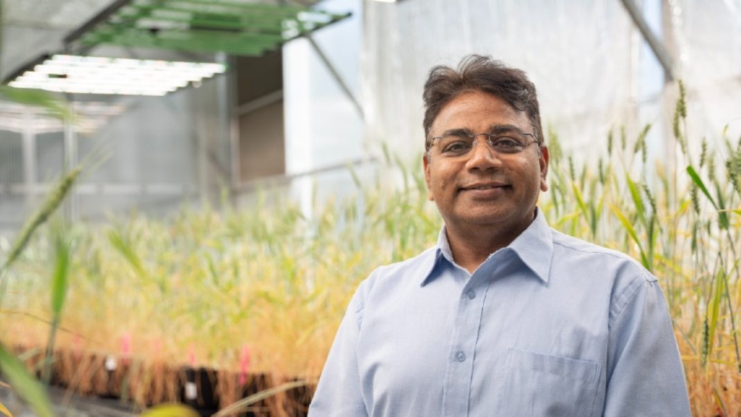 Indian-Australian scientist Prof. Rajeev Varshney named among world’s leading agri-food innovators