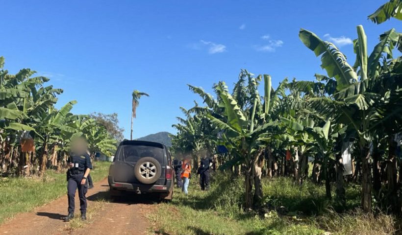 Six illegal migrants detained on Queensland farms granted bridging visas, while others await deportation proceedings