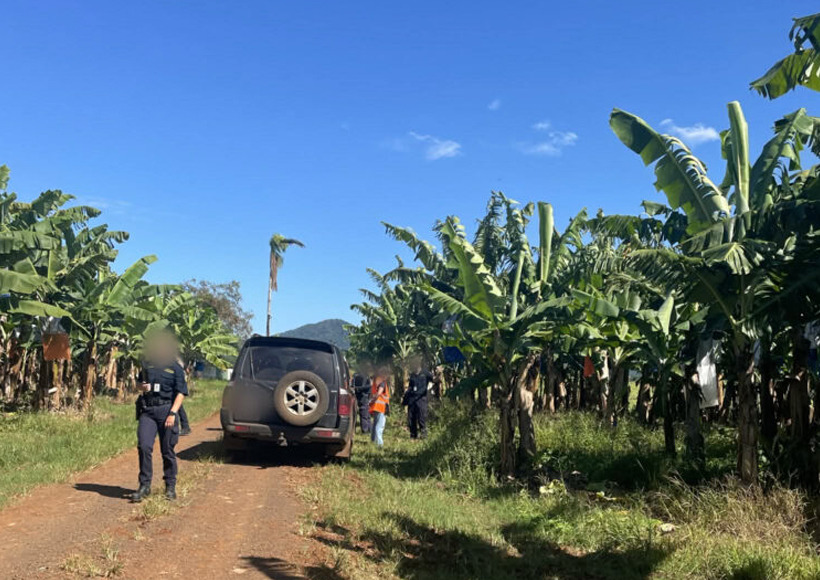 Six illegal migrants detained on Queensland farms granted bridging visas, while others await deportation proceedings