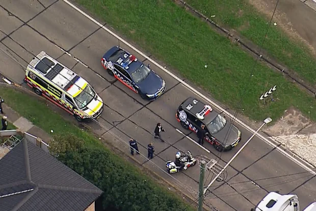 Two young children killed after being struck by car near busy Sydney highway