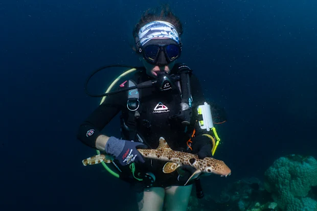 'World-First Catch: Australians discover mysterious new shark species